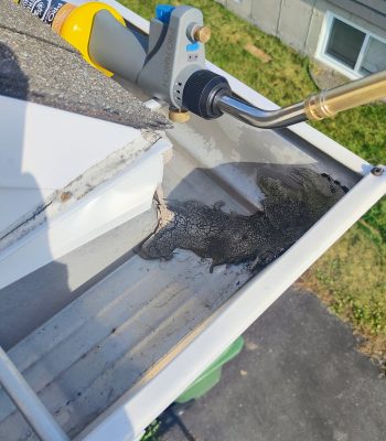 547956627_122107555382997850_8767658018811158681_n