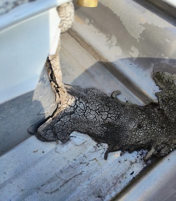 548989785_122107555502997850_433595459787364174_n